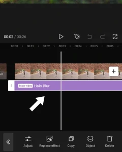 Apply effect on video