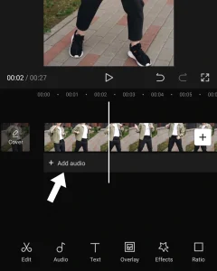 Add audio in video