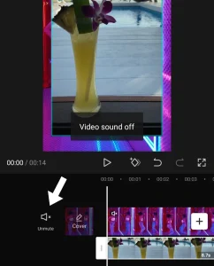 Set the audio of video