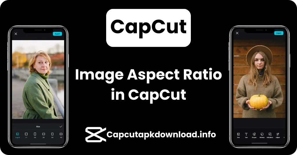 Image Aspect Ratio in CapCut